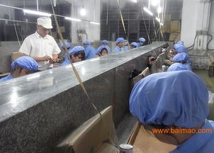 加工PVC玩具塑膠公仔，首選東莞鴻博 品質(zhì)、價(jià)格、服務(wù)一站式解決方案